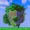 Planet Minecraft