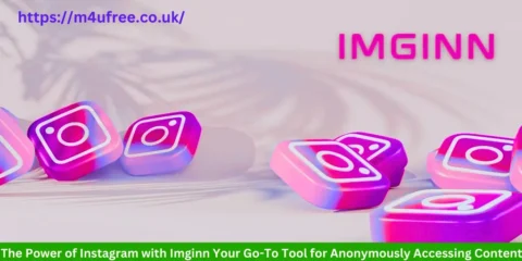 The Power of Instagram with Imginn Your Go-To Tool for Anonymously Accessing Content Imginn